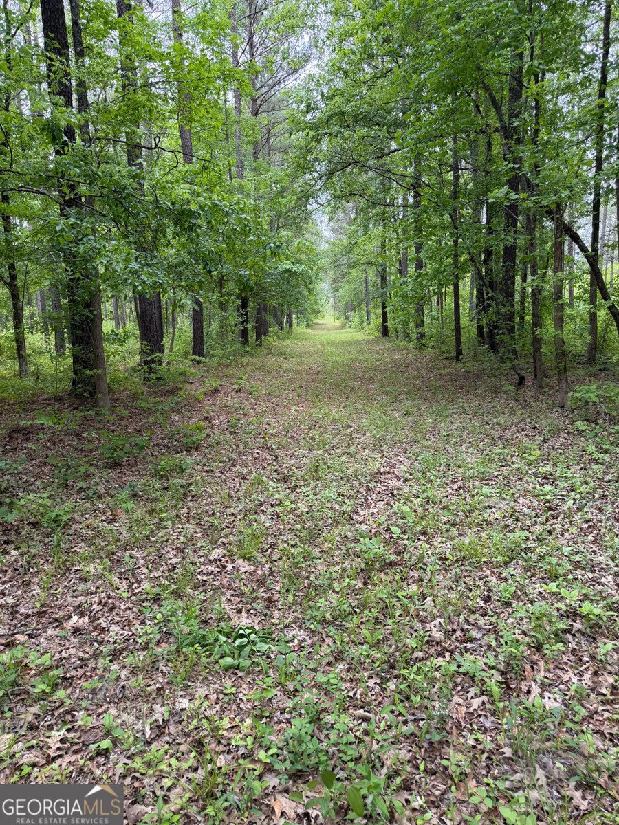 3385 Ga Highway 83 Monticello - Photo 12