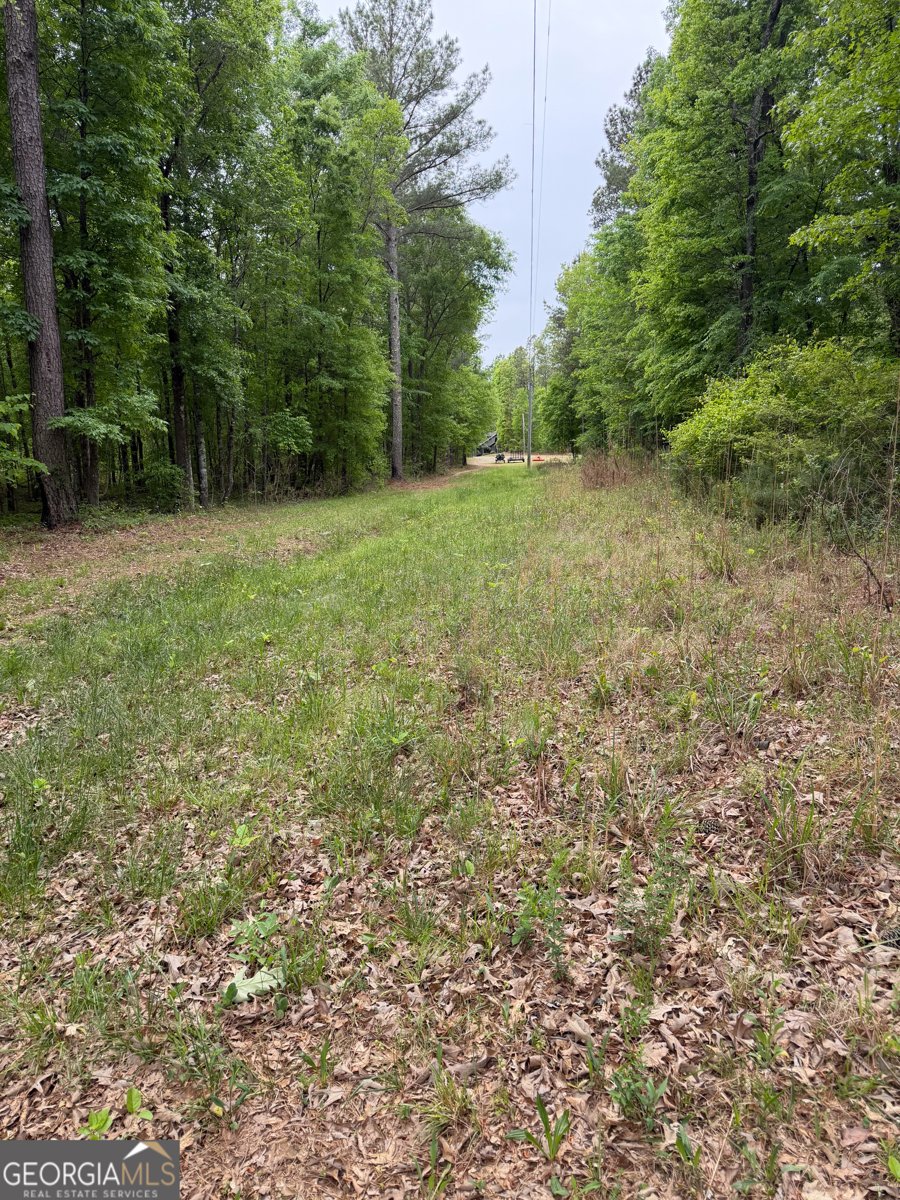 3385 Ga Highway 83 Monticello - Photo 13