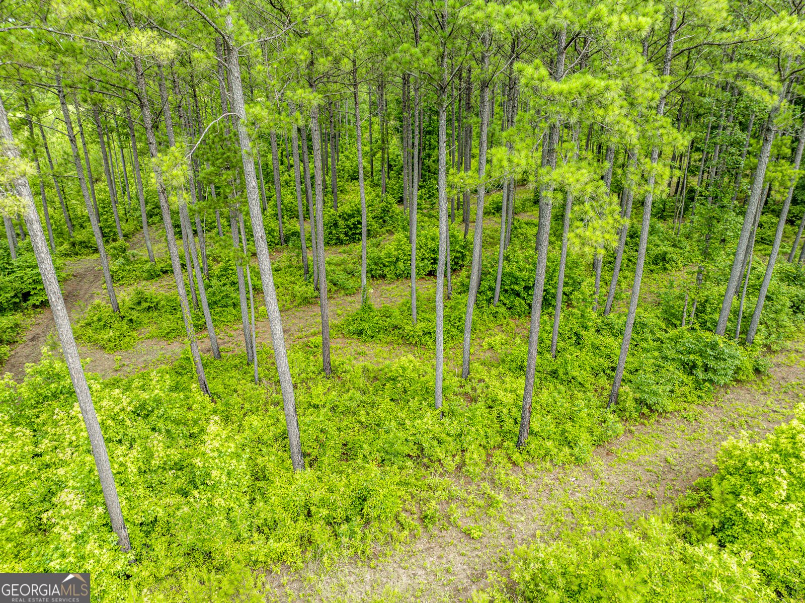 3385 Ga Highway 83 Monticello - Photo 55