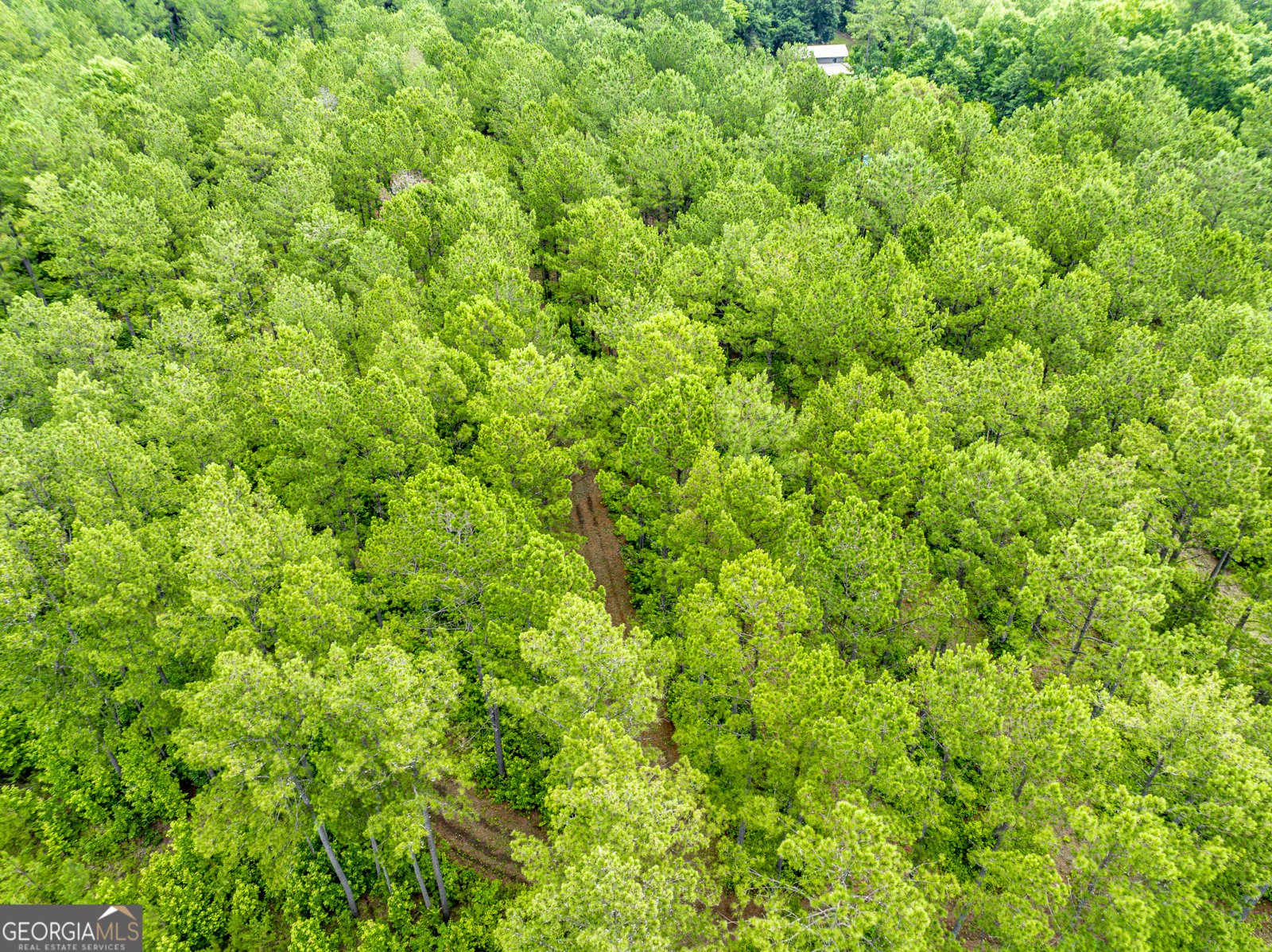 3385 Ga Highway 83 Monticello - Photo 56