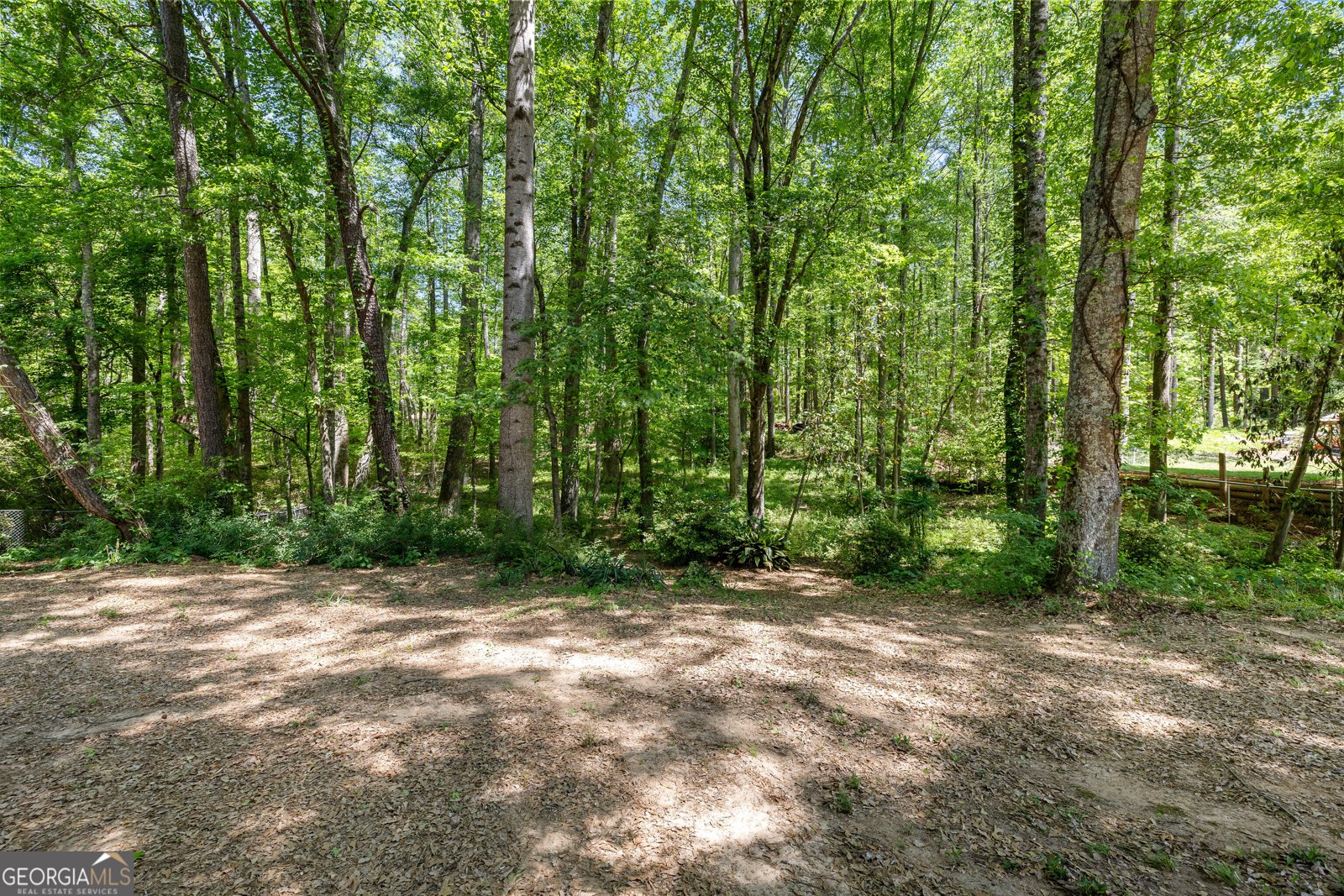 735 Welcome To Sargent Road Newnan - Photo 58