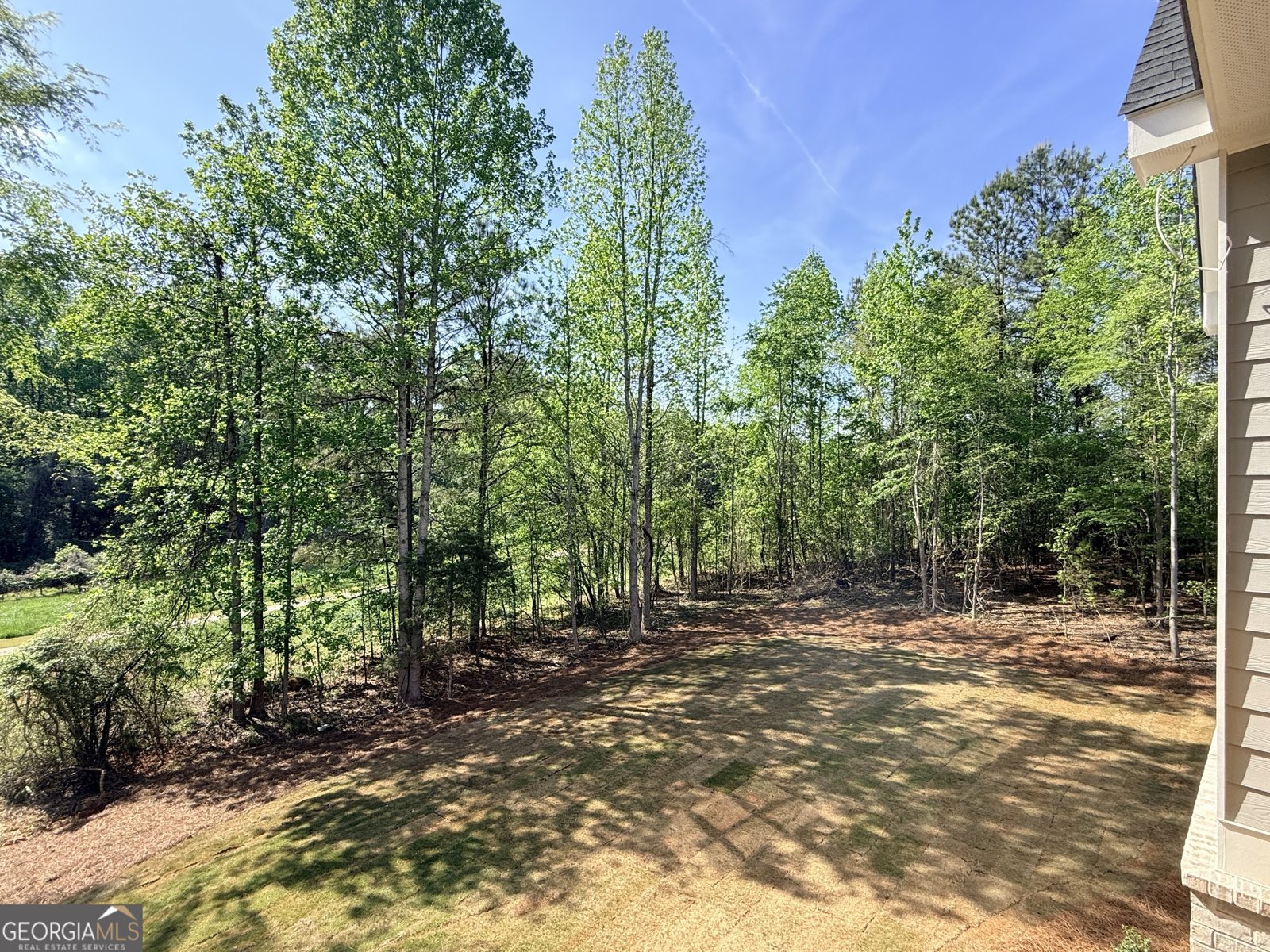 3108 Mulberry Greens Lane Jefferson - Photo 24