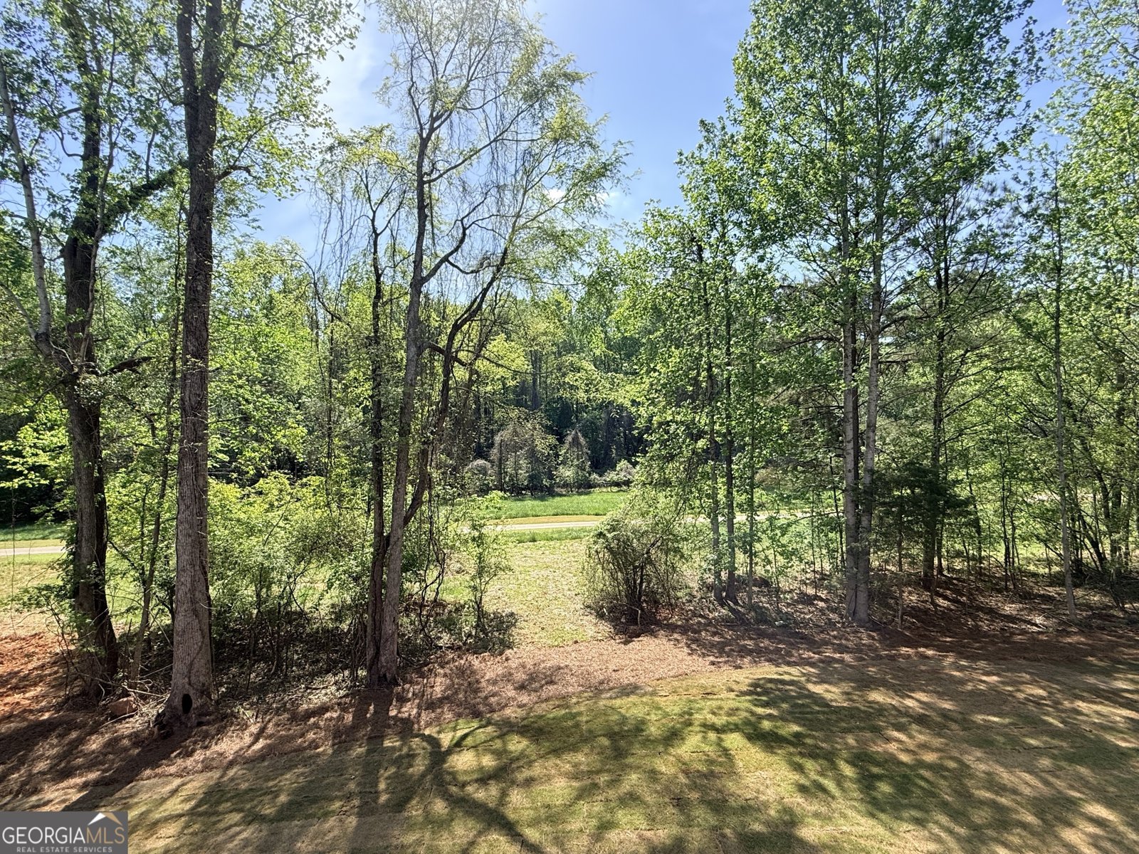 3108 Mulberry Greens Lane Jefferson - Photo 25