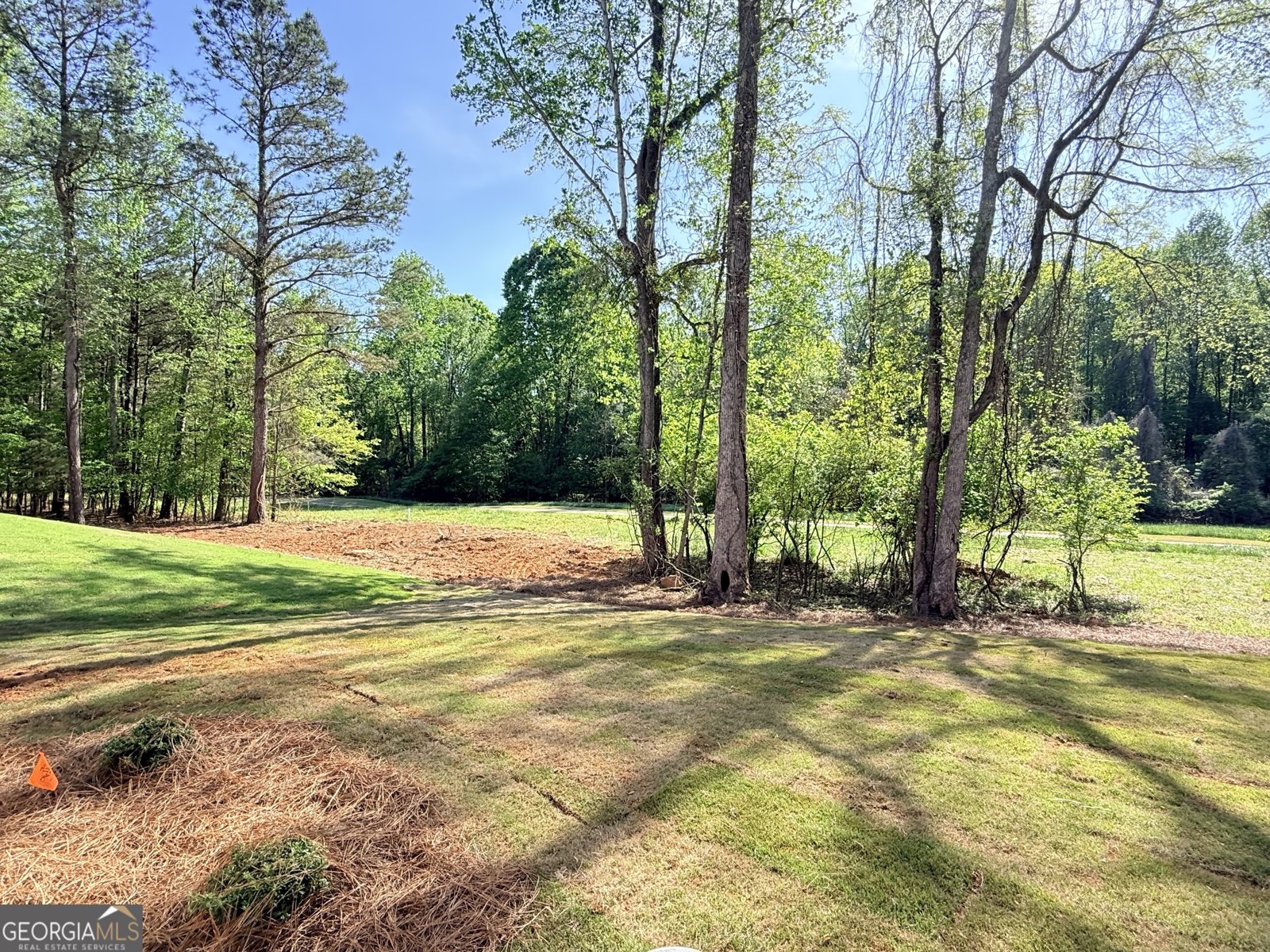 3108 Mulberry Greens Lane Jefferson - Photo 33