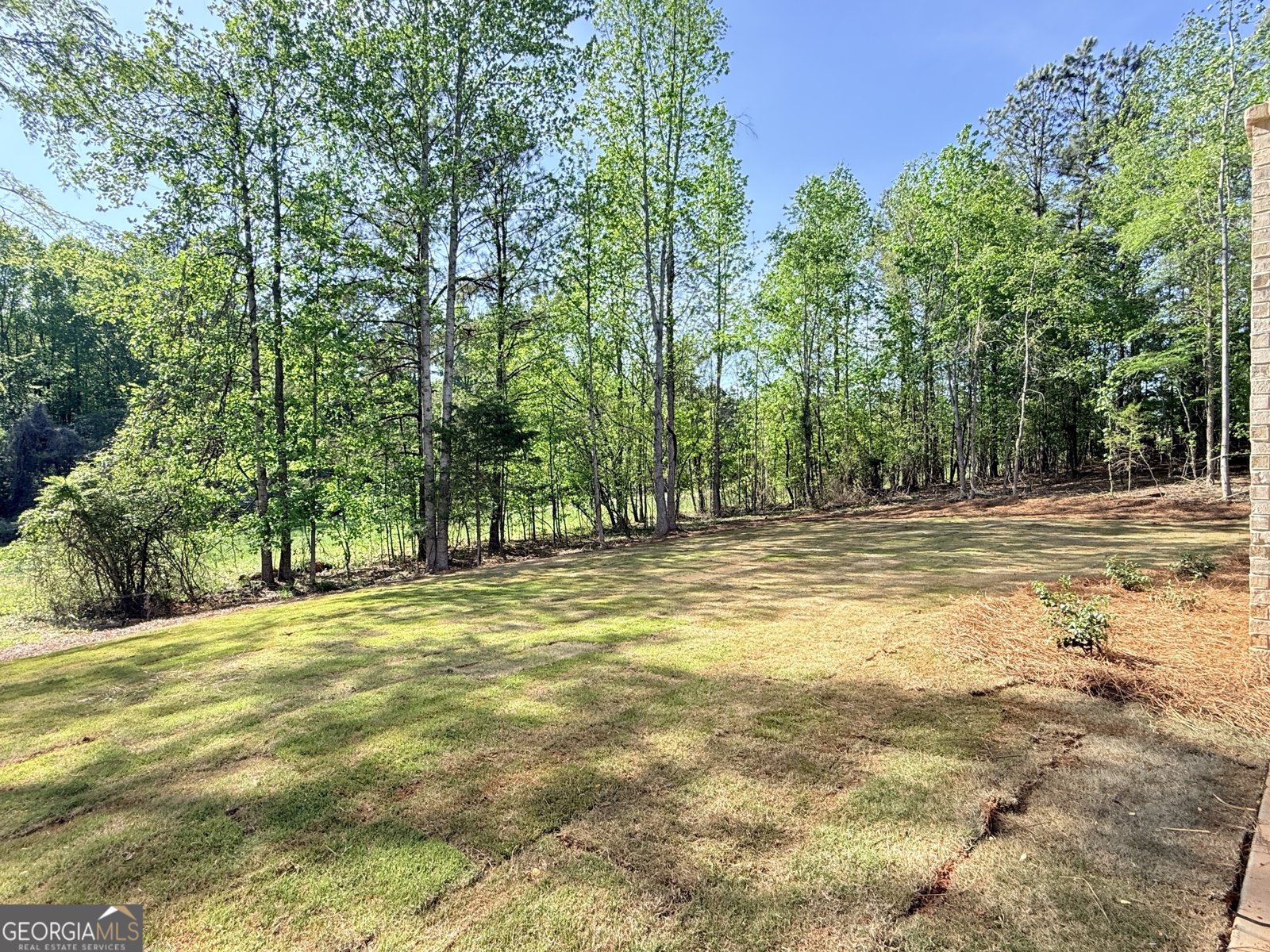 3108 Mulberry Greens Lane Jefferson - Photo 34