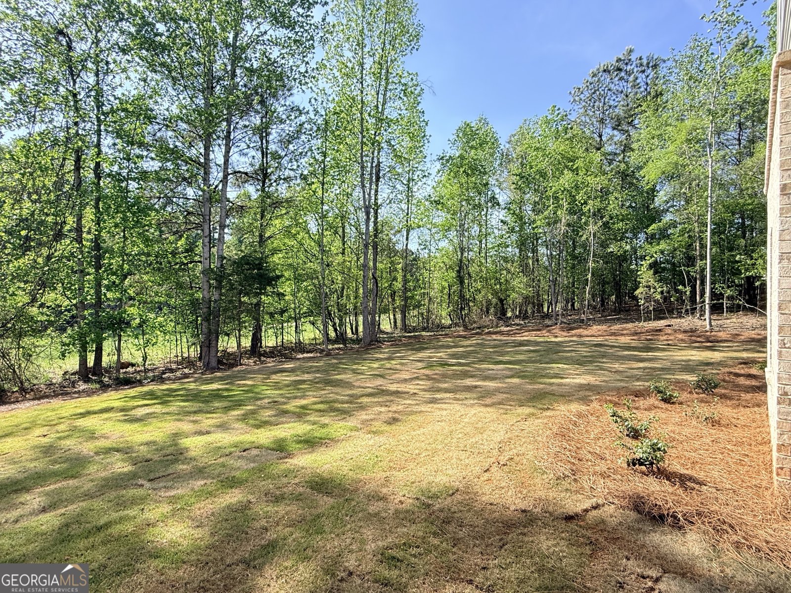 3108 Mulberry Greens Lane Jefferson - Photo 35