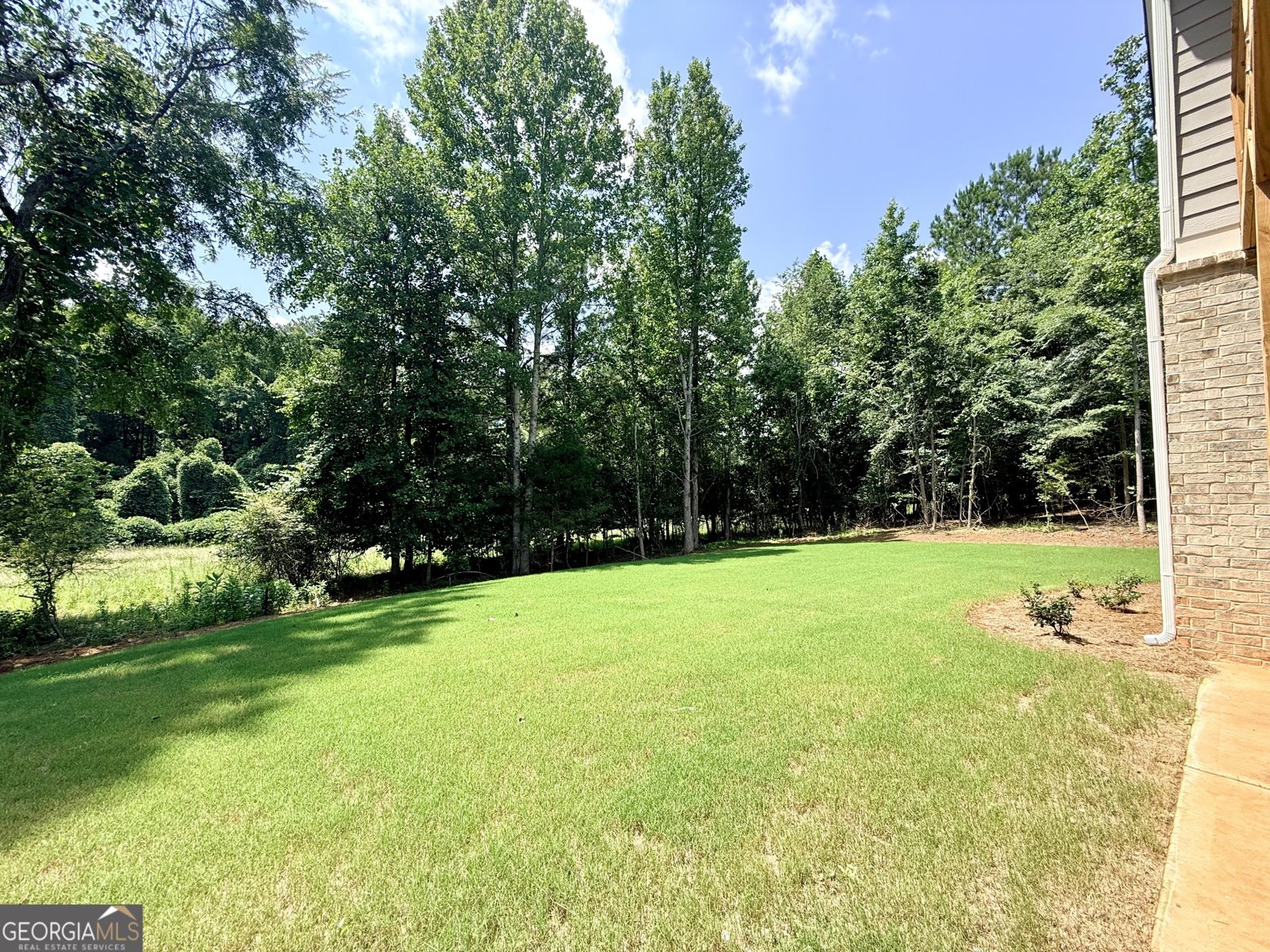 3108 Mulberry Greens Lane Jefferson - Photo 93