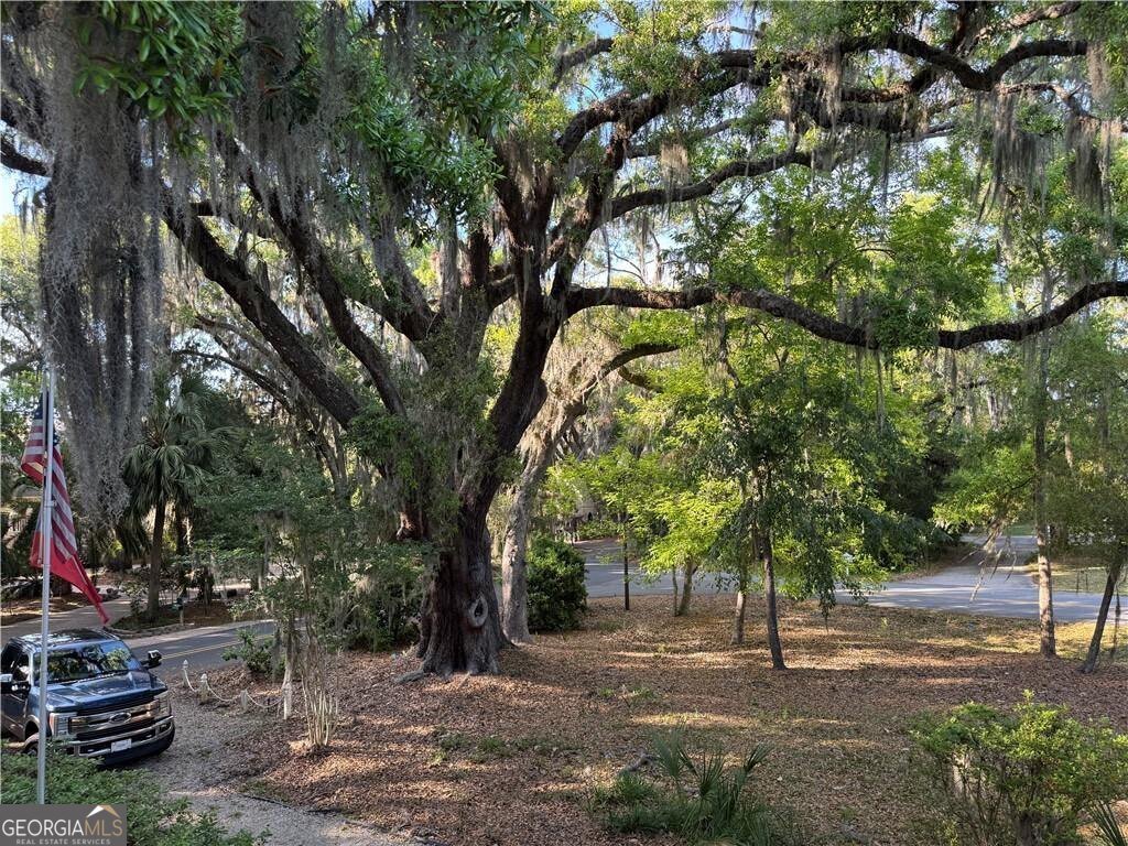225 West Point Drive St. Simons - Photo 46