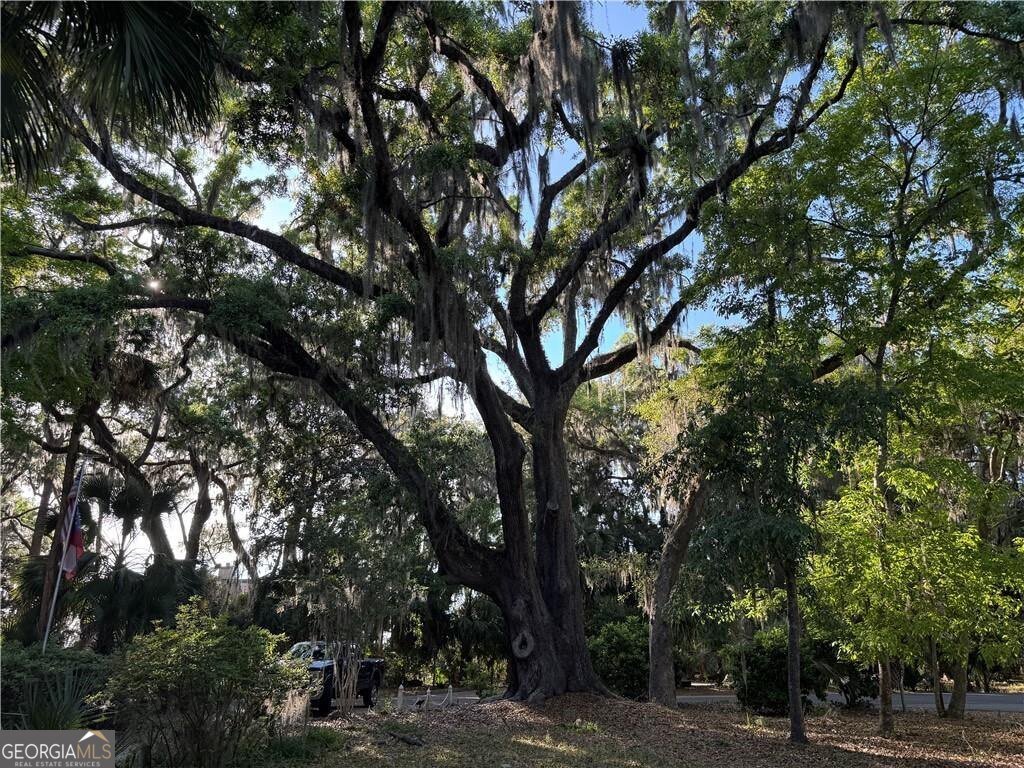 225 West Point Drive St. Simons - Photo 48
