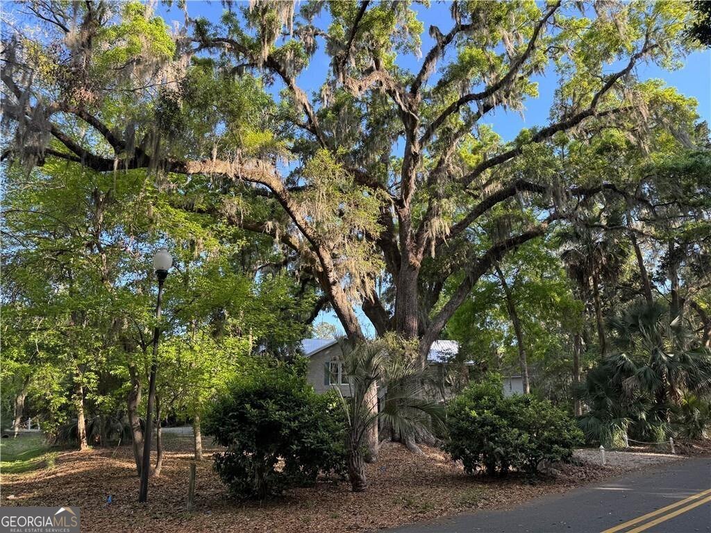 225 West Point Drive St. Simons - Photo 93