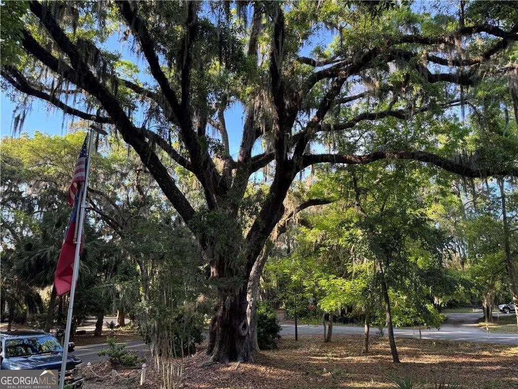 225 West Point Drive St. Simons - Photo 95