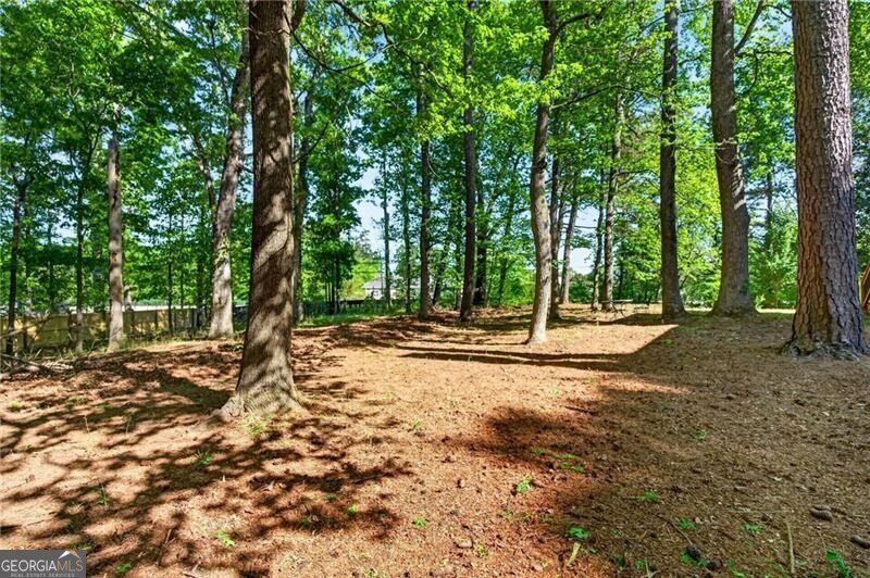 7830 Llangollen Way Cumming - Photo 55