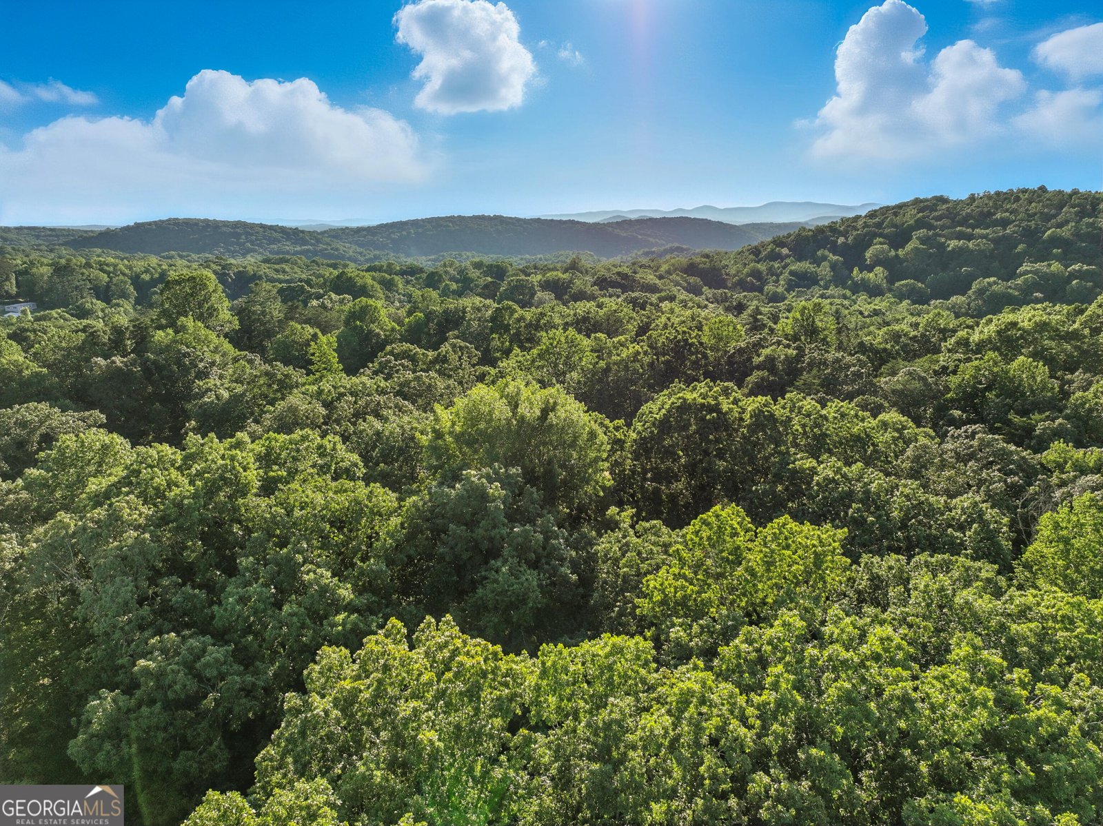 181 Gilreath Way Dahlonega - Photo 26