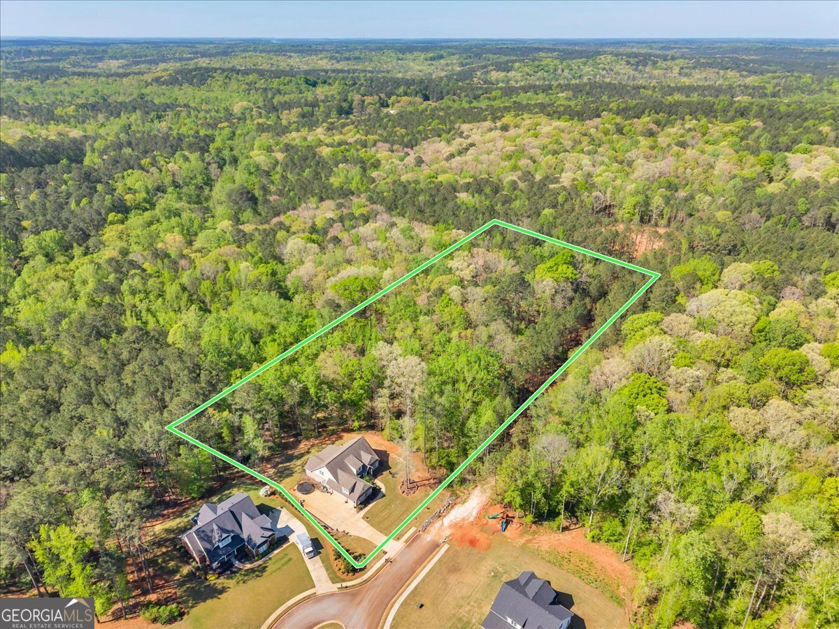 126 Mallie Drive Forsyth - Photo 71