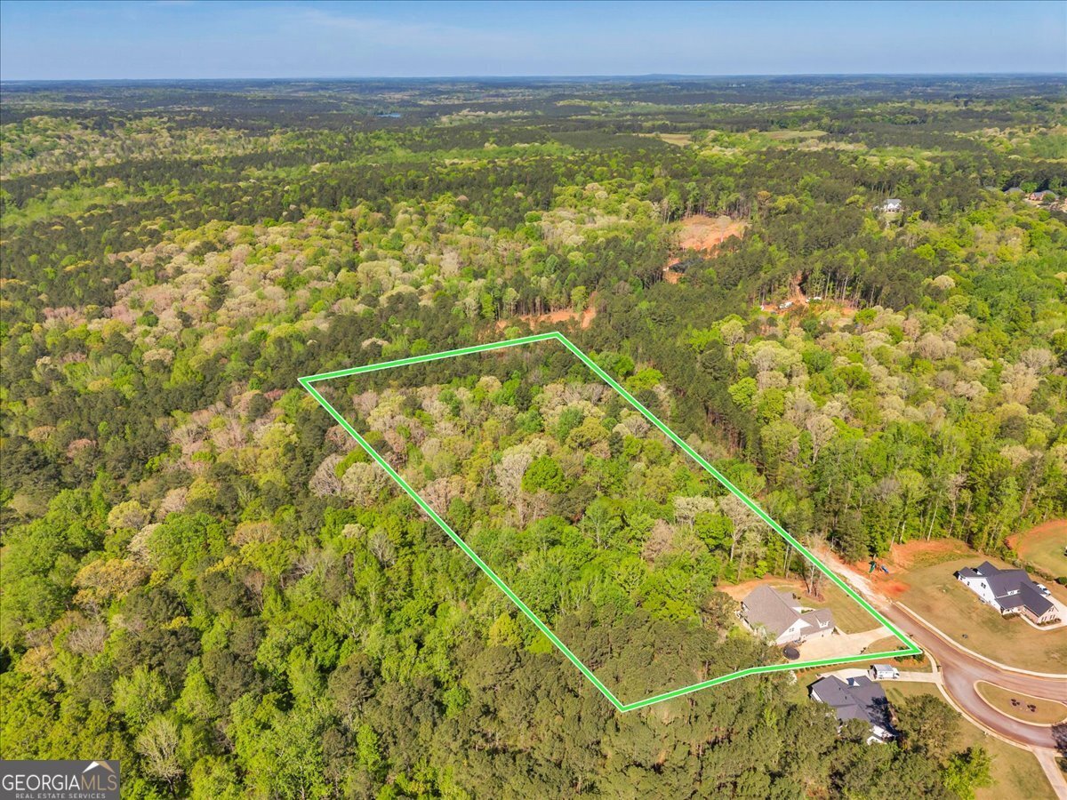 126 Mallie Drive Forsyth - Photo 72