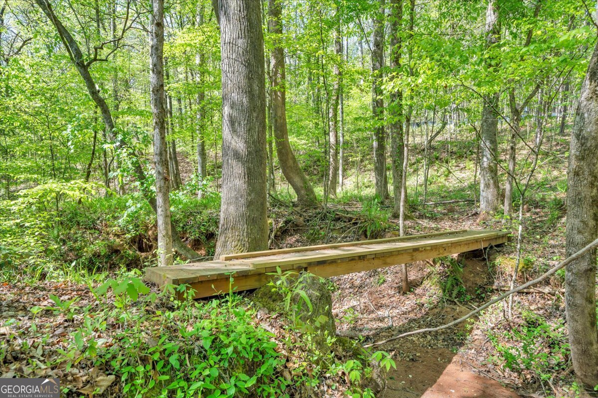 126 Mallie Drive Forsyth - Photo 73