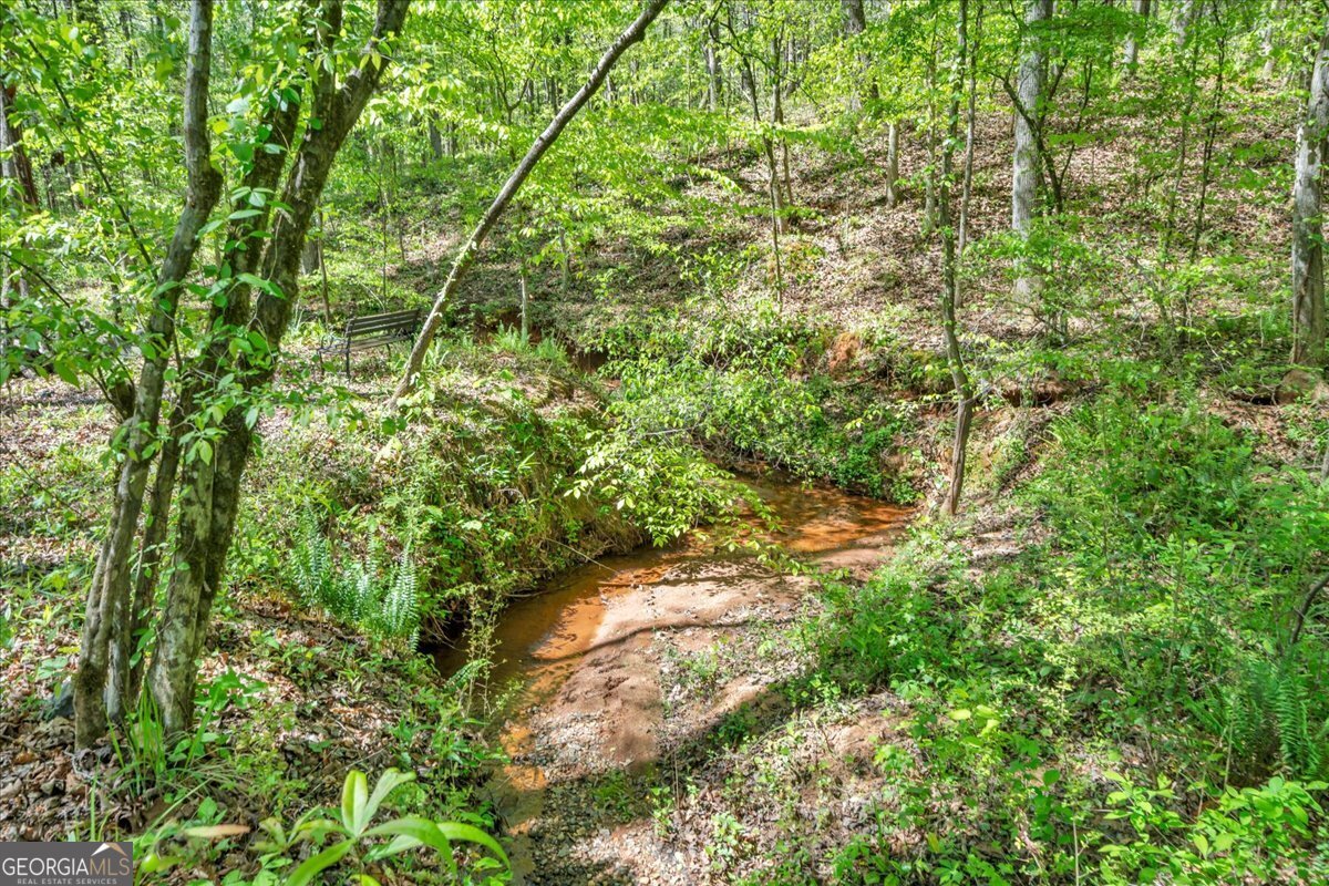 126 Mallie Drive Forsyth - Photo 74