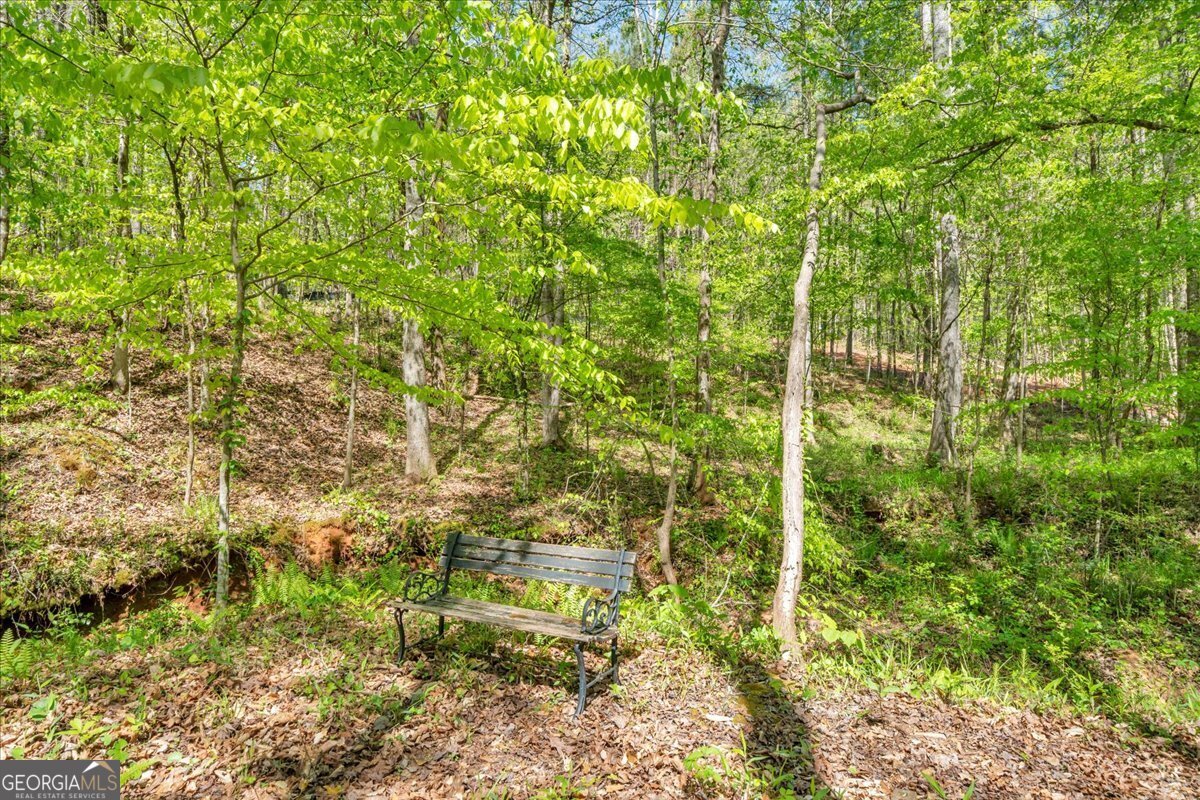 126 Mallie Drive Forsyth - Photo 75