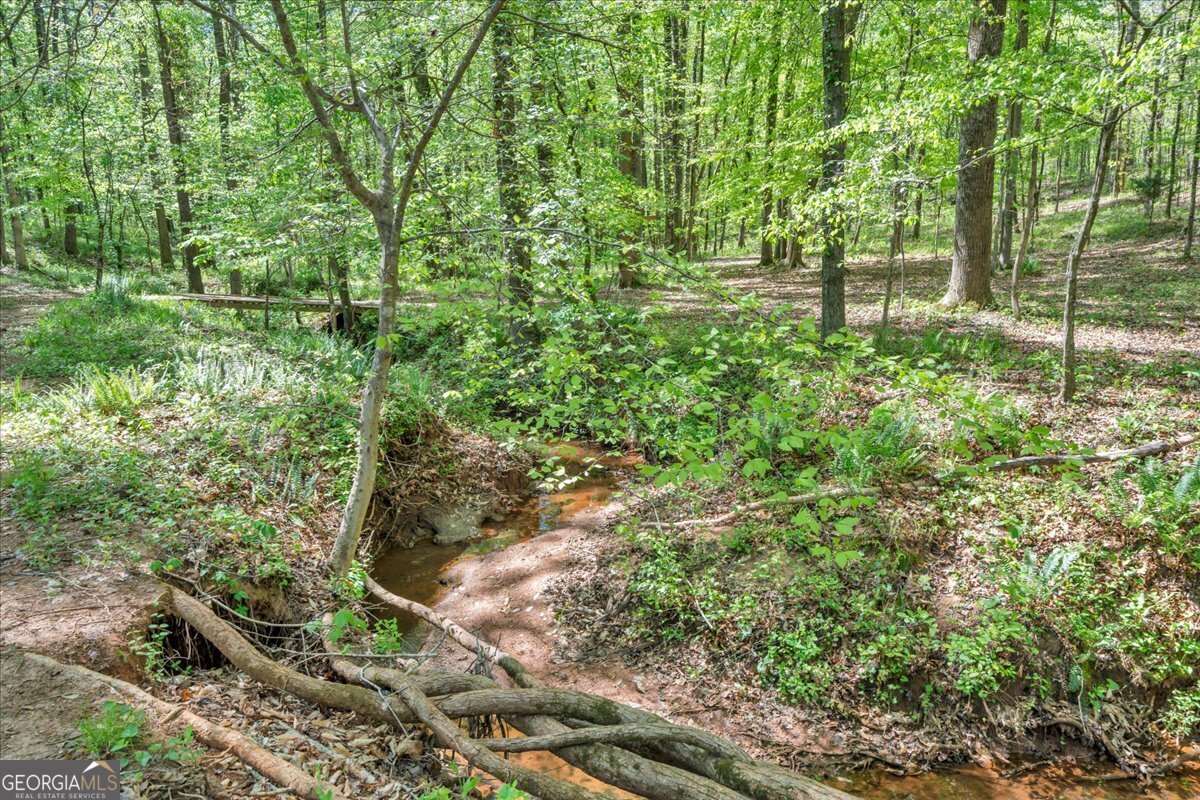 126 Mallie Drive Forsyth - Photo 76