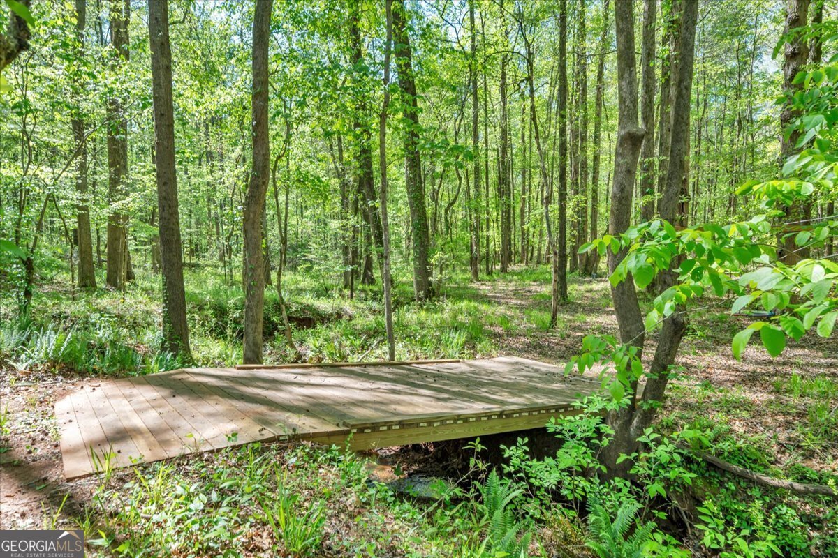 126 Mallie Drive Forsyth - Photo 77