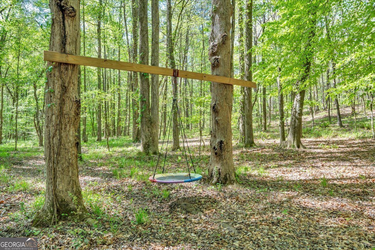 126 Mallie Drive Forsyth - Photo 78