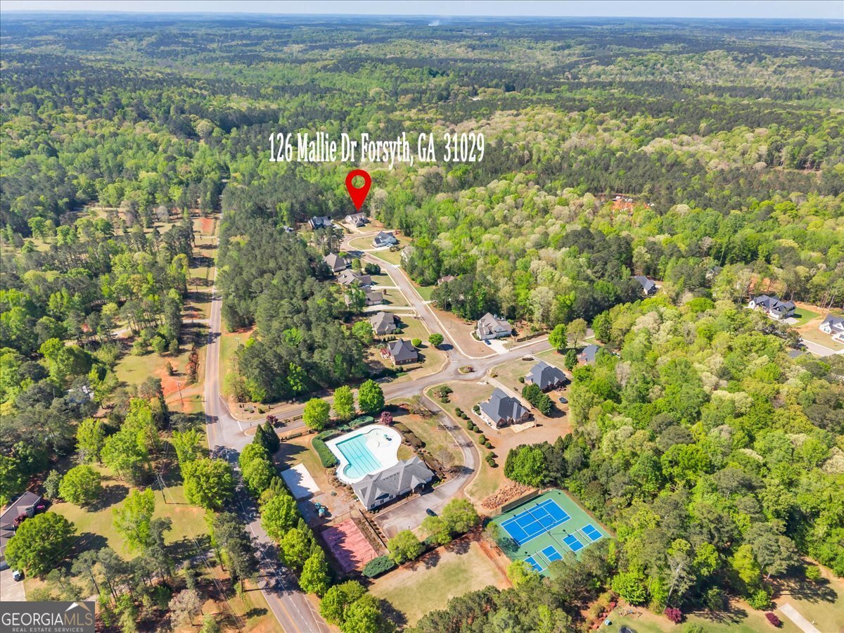 126 Mallie Drive Forsyth - Photo 85