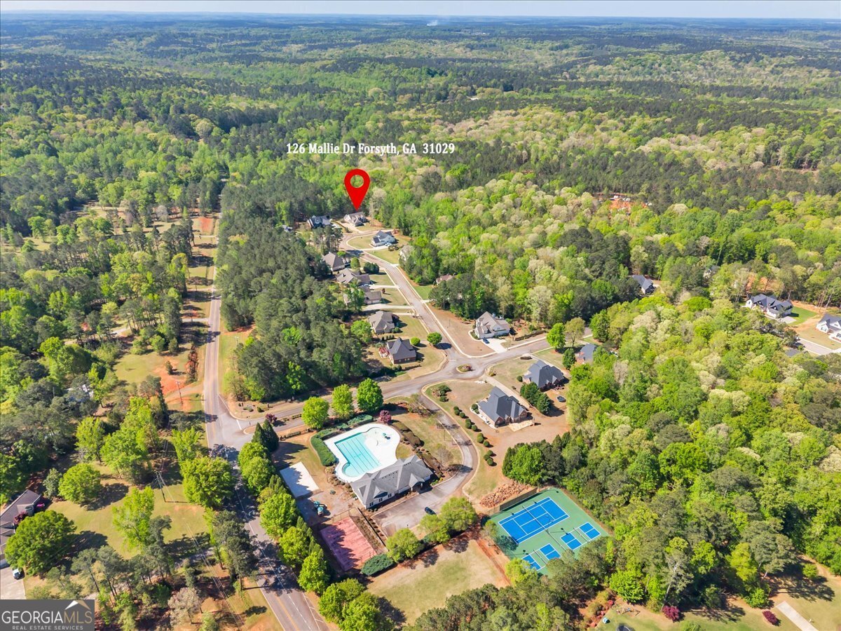 126 Mallie Drive Forsyth - Photo 86