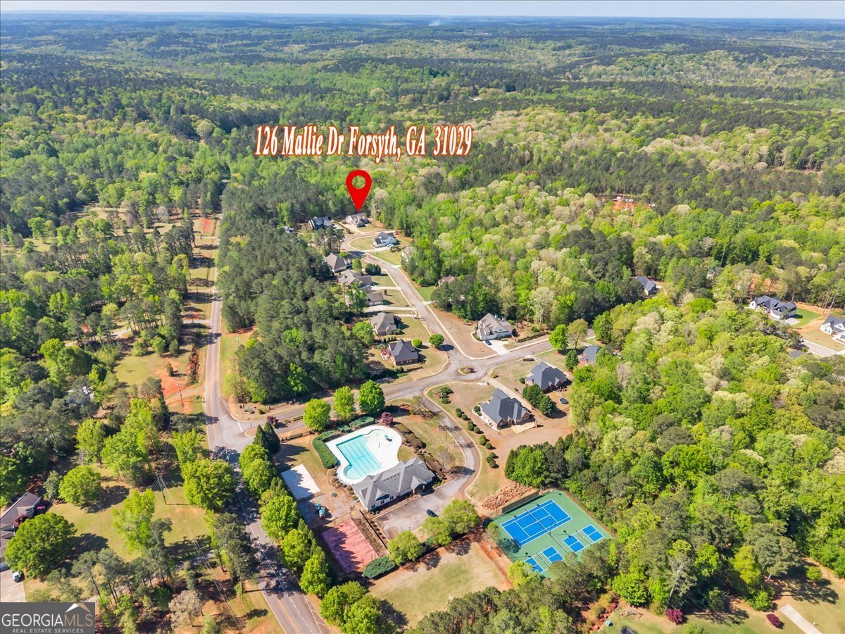 126 Mallie Drive Forsyth - Photo 87