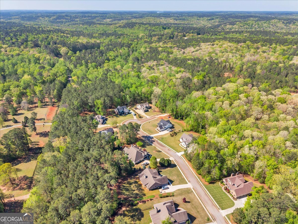 126 Mallie Drive Forsyth - Photo 89