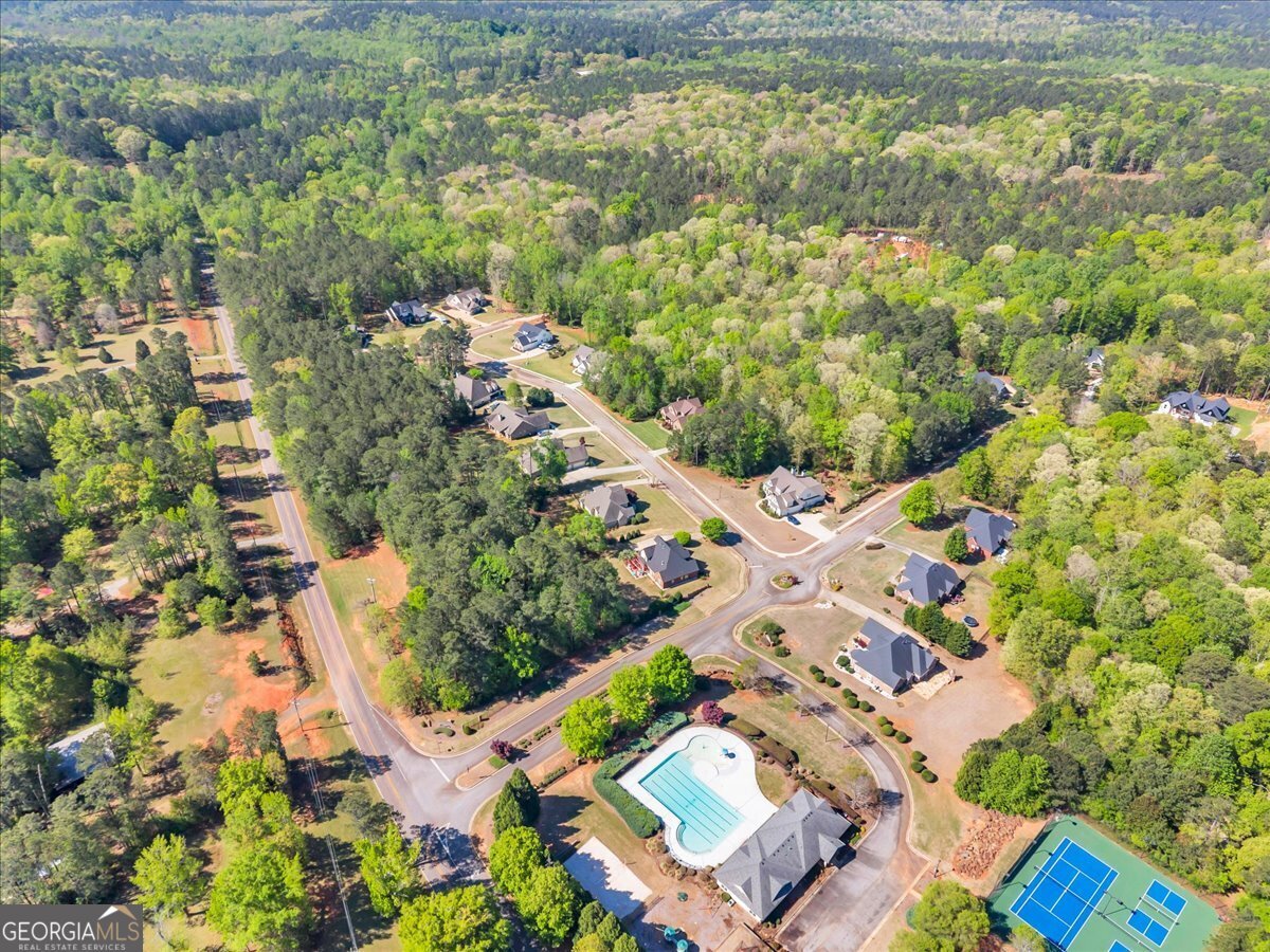 126 Mallie Drive Forsyth - Photo 90