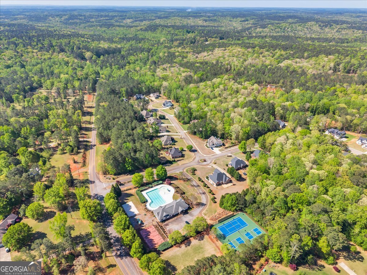 126 Mallie Drive Forsyth - Photo 91