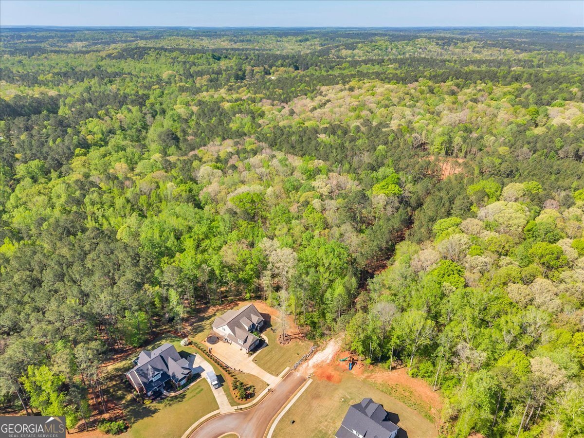 126 Mallie Drive Forsyth - Photo 92