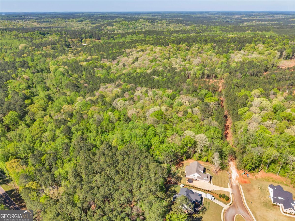 126 Mallie Drive Forsyth - Photo 93