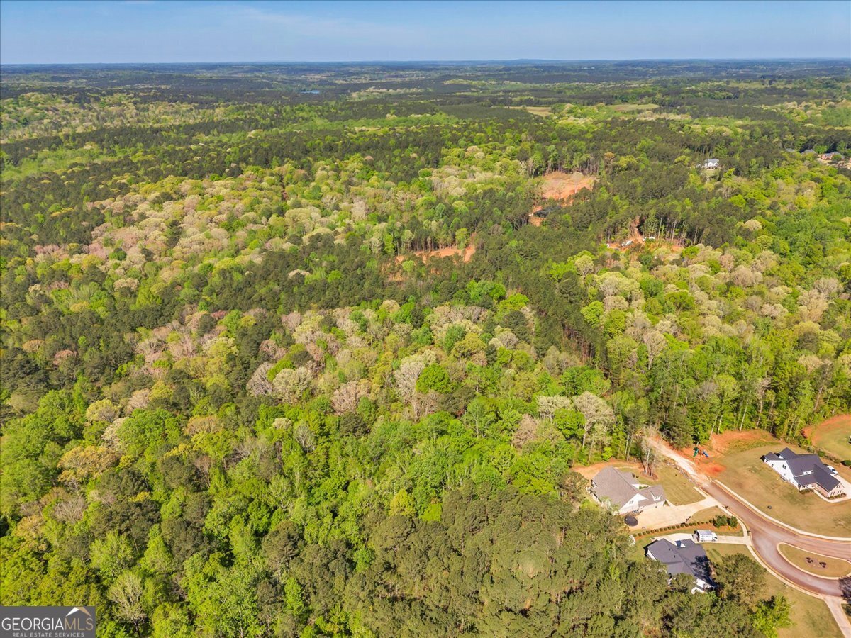 126 Mallie Drive Forsyth - Photo 94