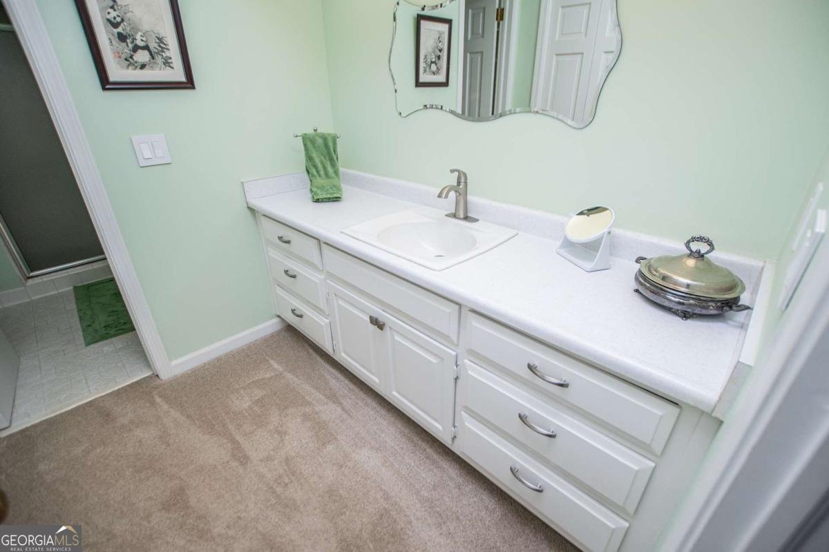 203 Ole Hickory Trail Carrollton - Photo 63