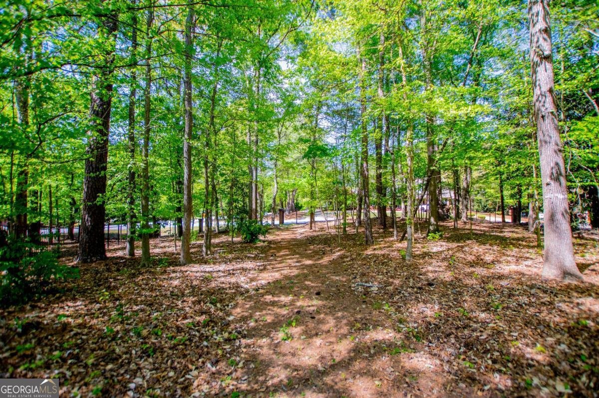 203 Ole Hickory Trail Carrollton - Photo 93