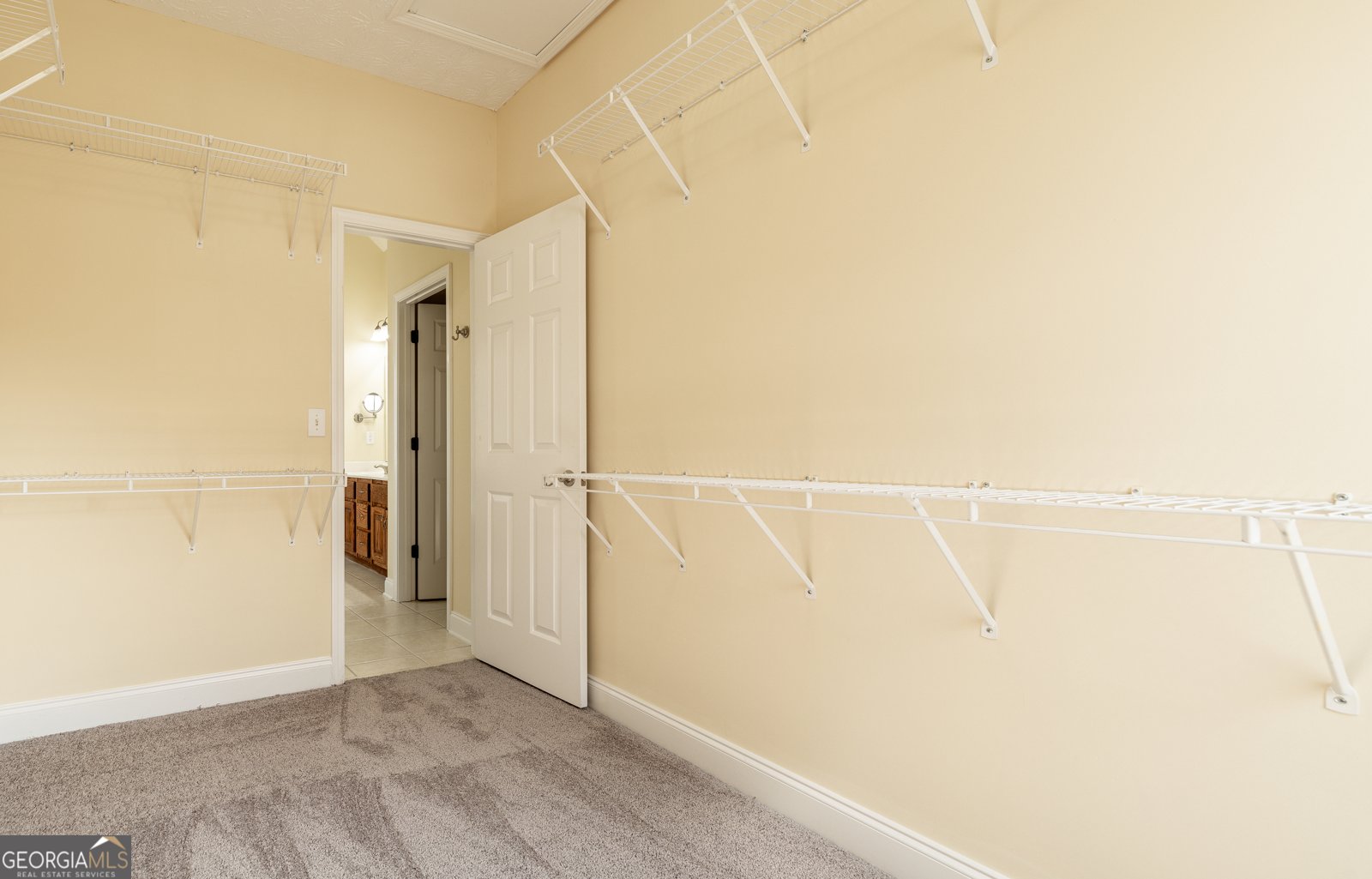 239 Blue Creek Lane Loganville - Photo 11