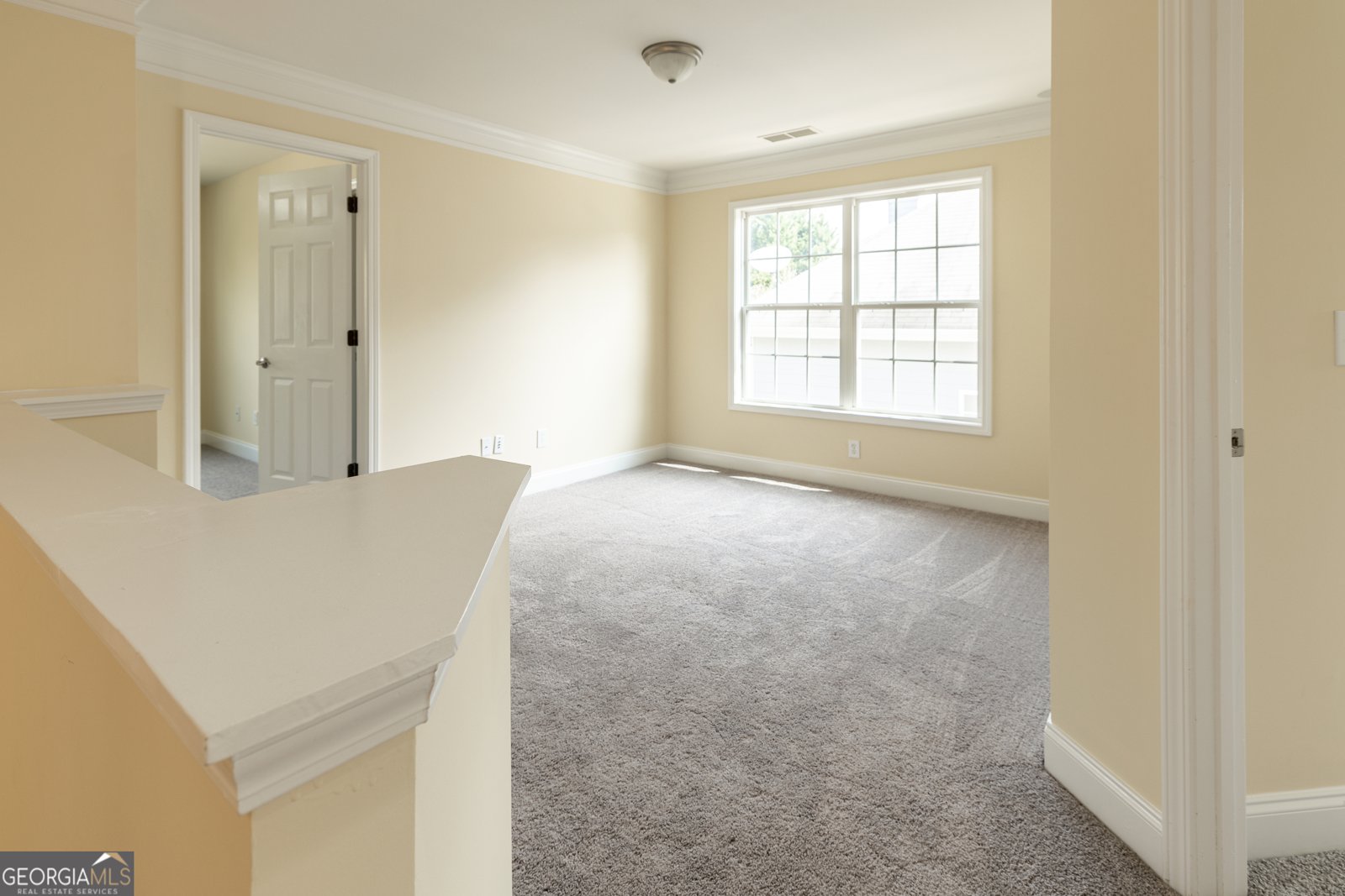 239 Blue Creek Lane Loganville - Photo 31