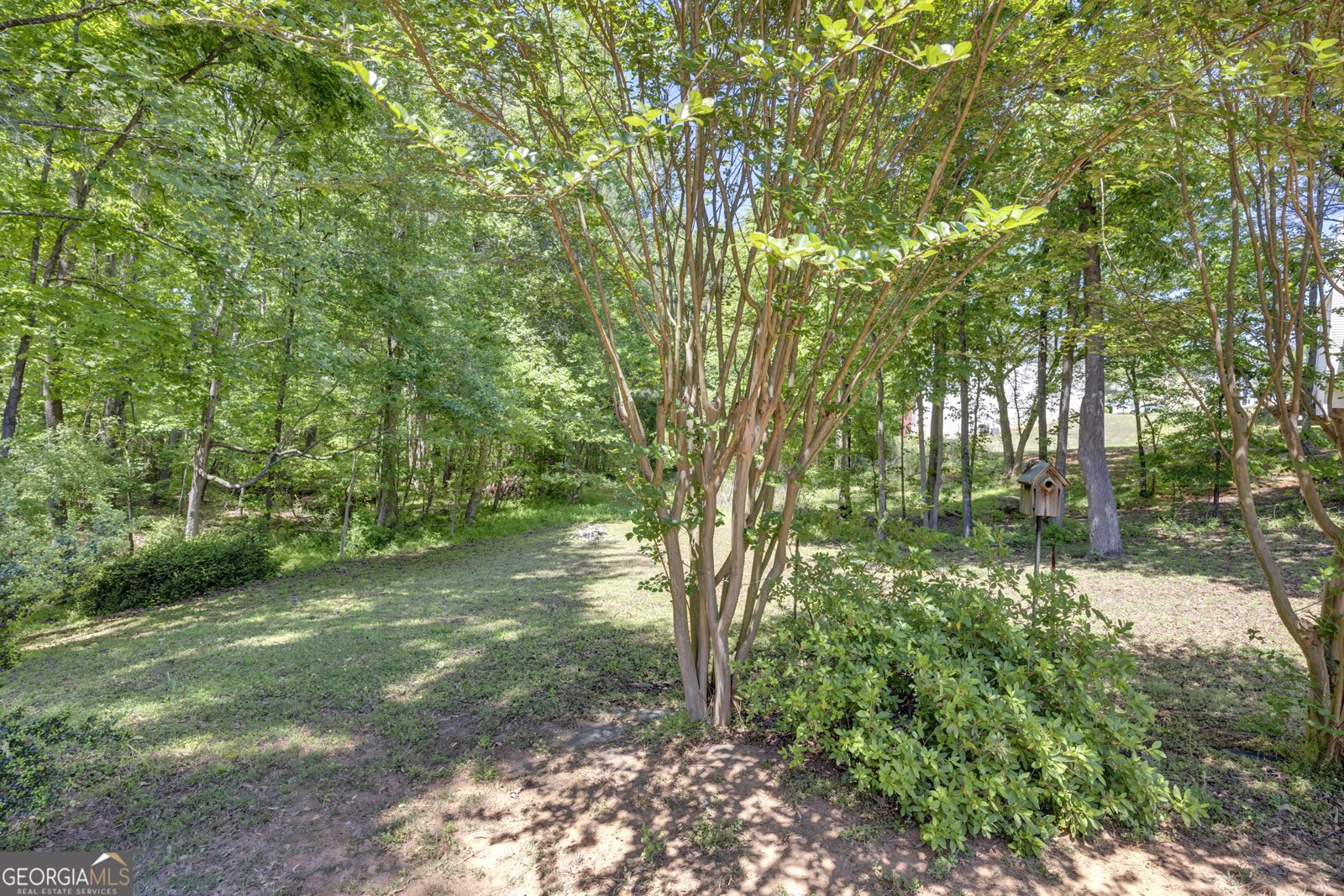 122 Grandiflora Drive McDonough - Photo 59