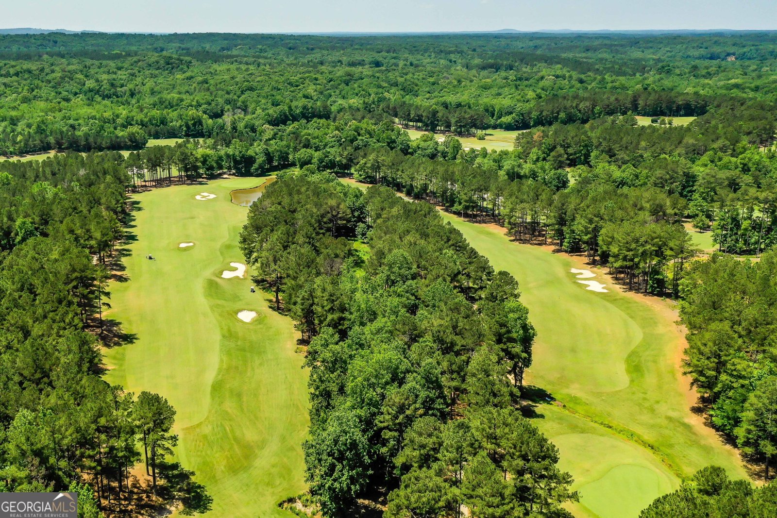 295 Hanover Drive Villa Rica - Photo 50