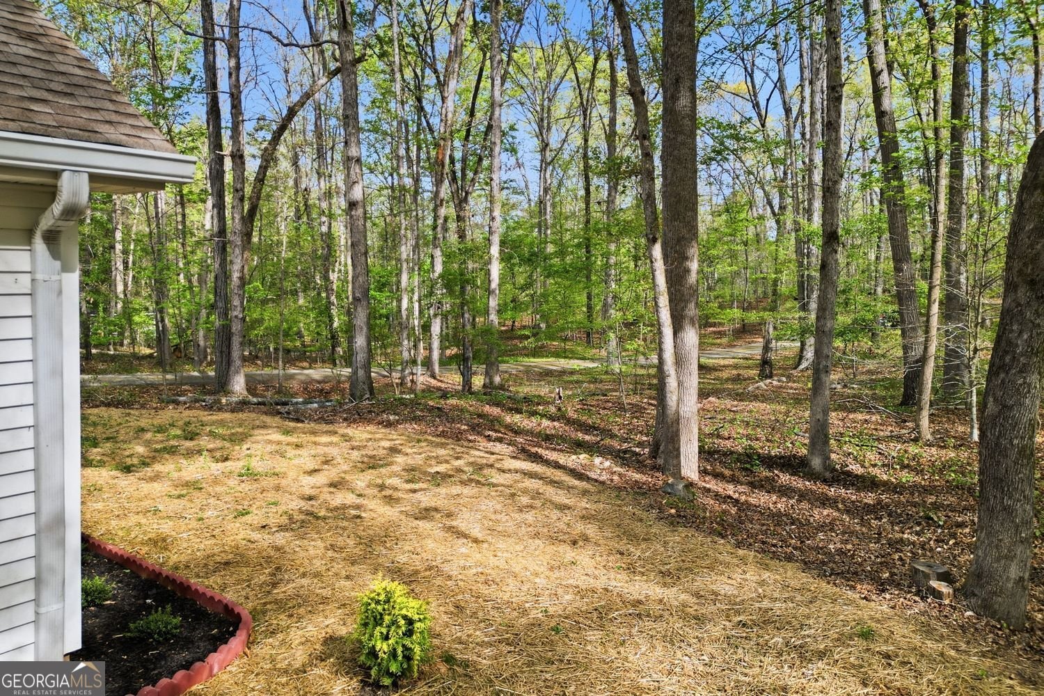 45 Warp Street Dawsonville - Photo 32