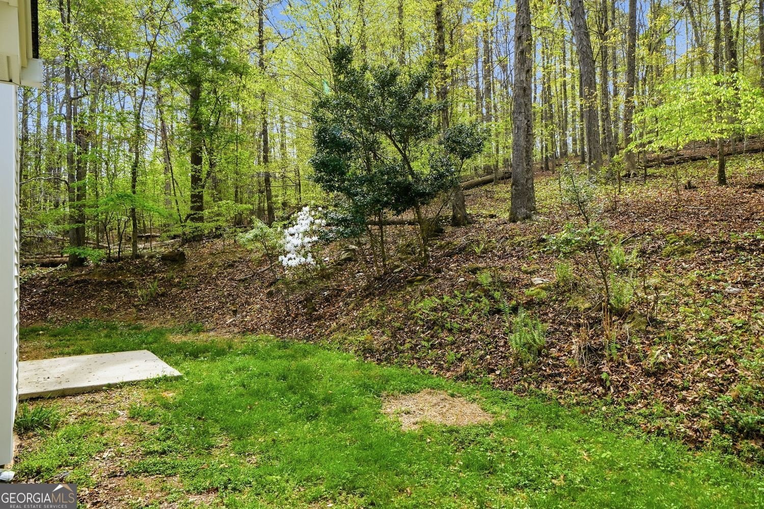 45 Warp Street Dawsonville - Photo 33