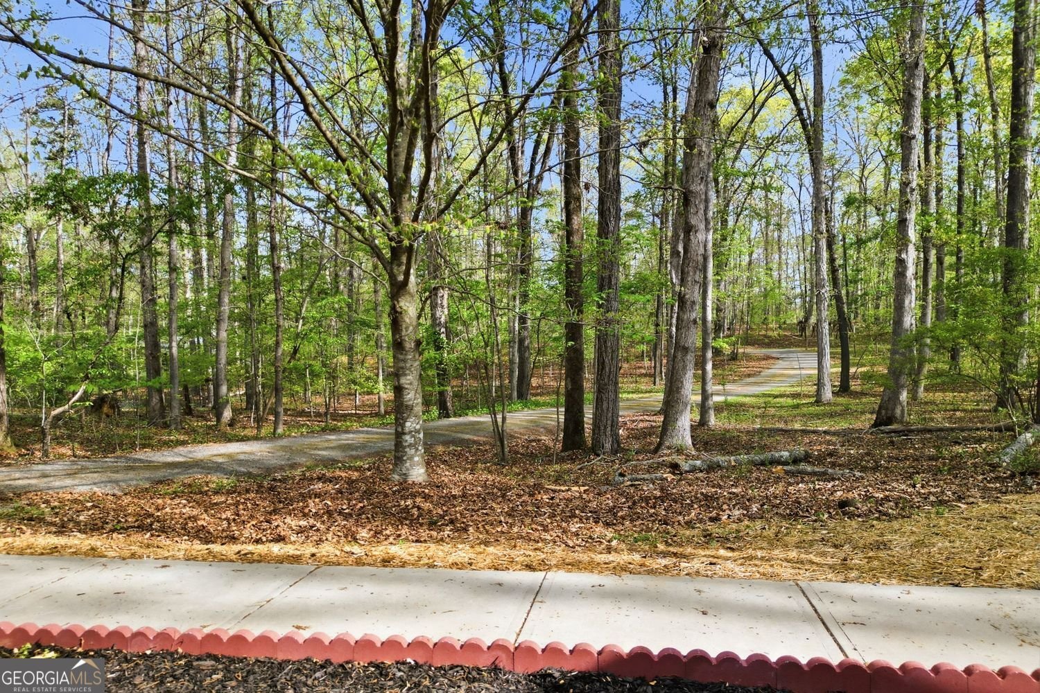 45 Warp Street Dawsonville - Photo 36