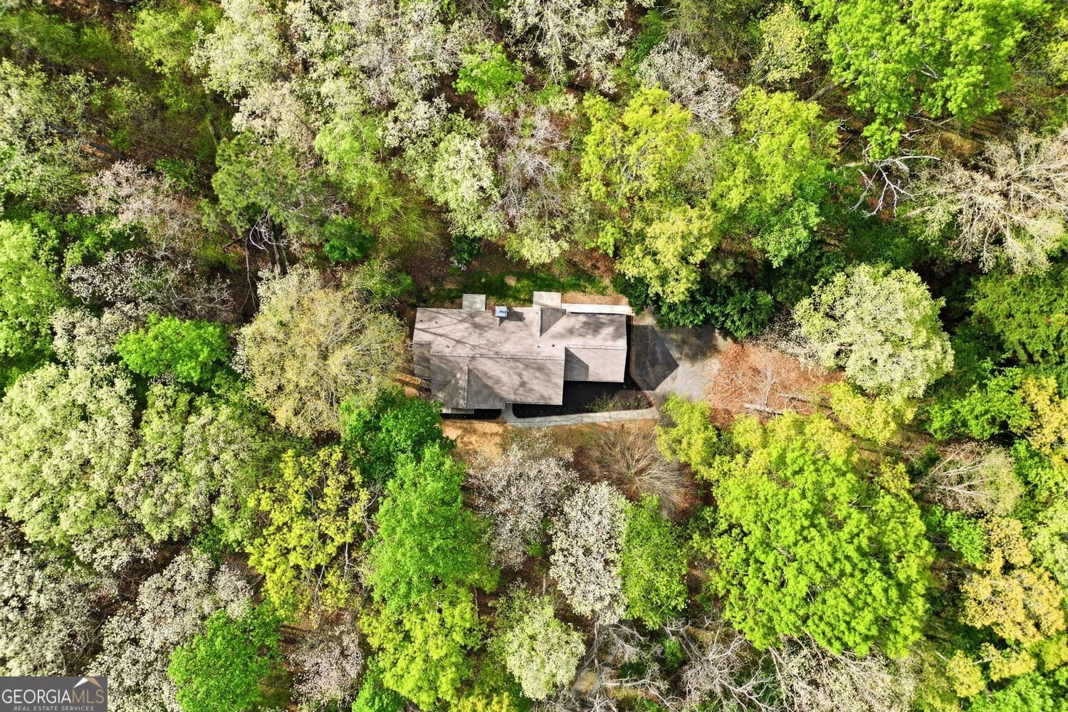 45 Warp Street Dawsonville - Photo 37