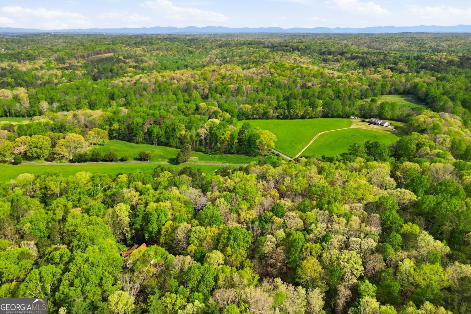 45 Warp Street Dawsonville - Photo 38