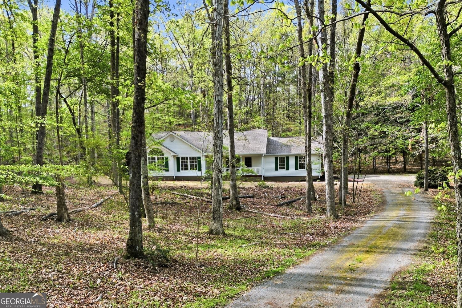 45 Warp Street Dawsonville - Photo 39