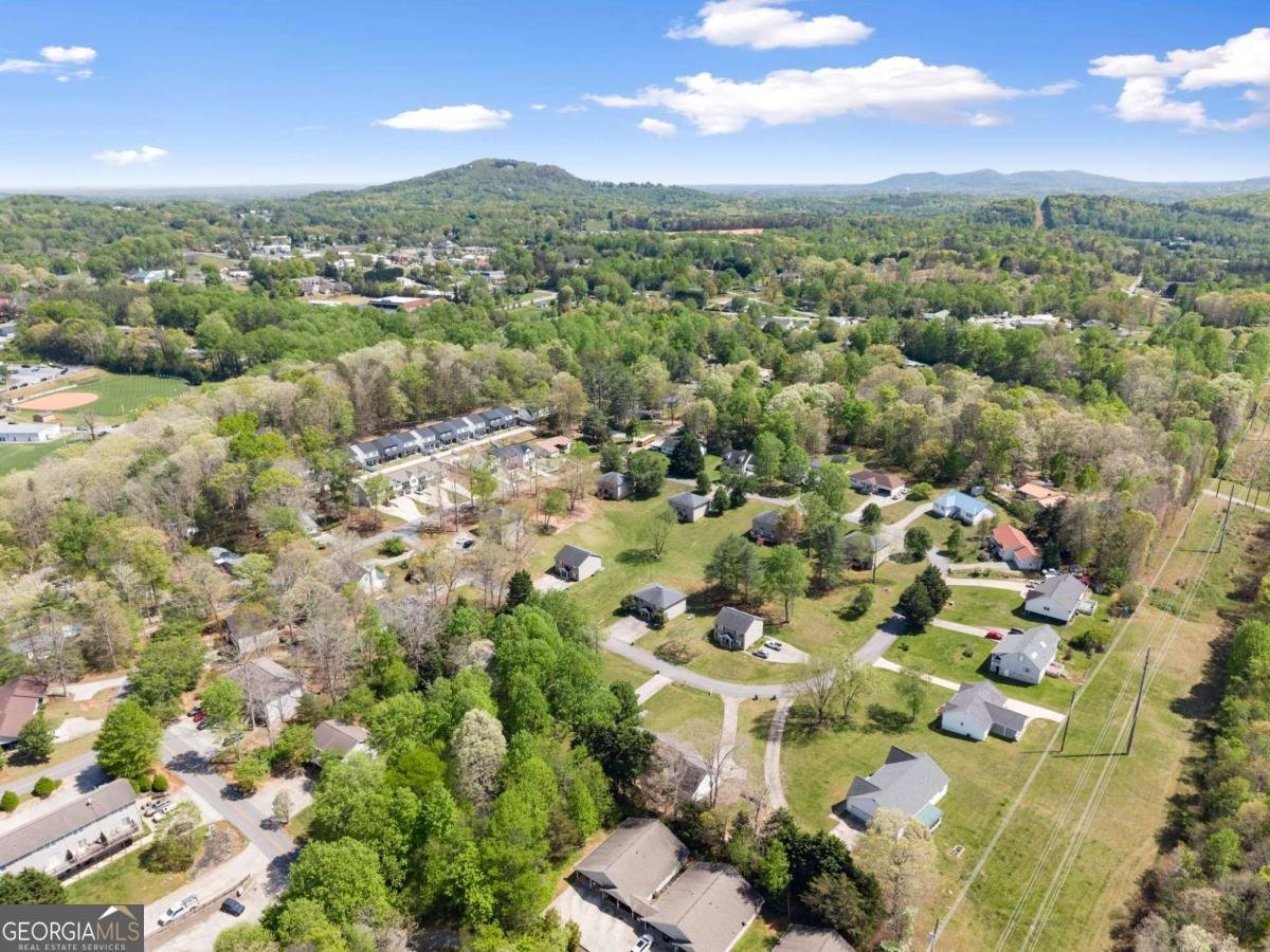 153 Sherrell Drive Cleveland - Photo 50