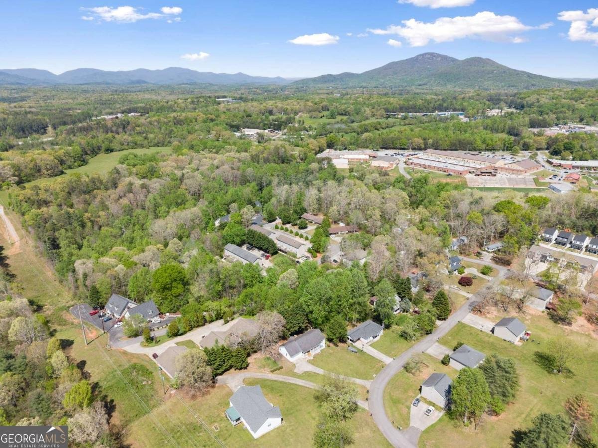 153 Sherrell Drive Cleveland - Photo 51