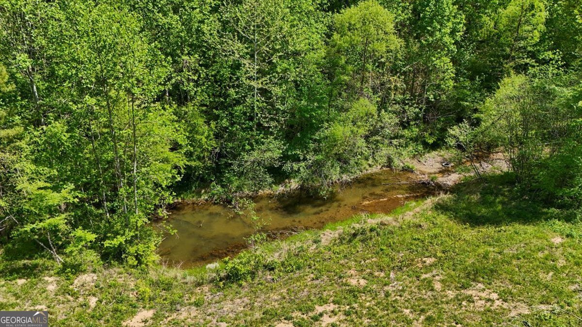 271 Garmon Road Cedartown - Photo 52