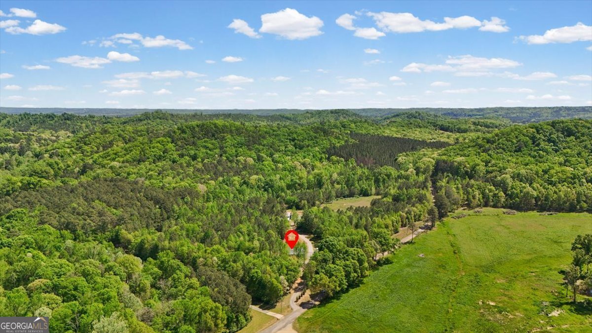 271 Garmon Road Cedartown - Photo 53